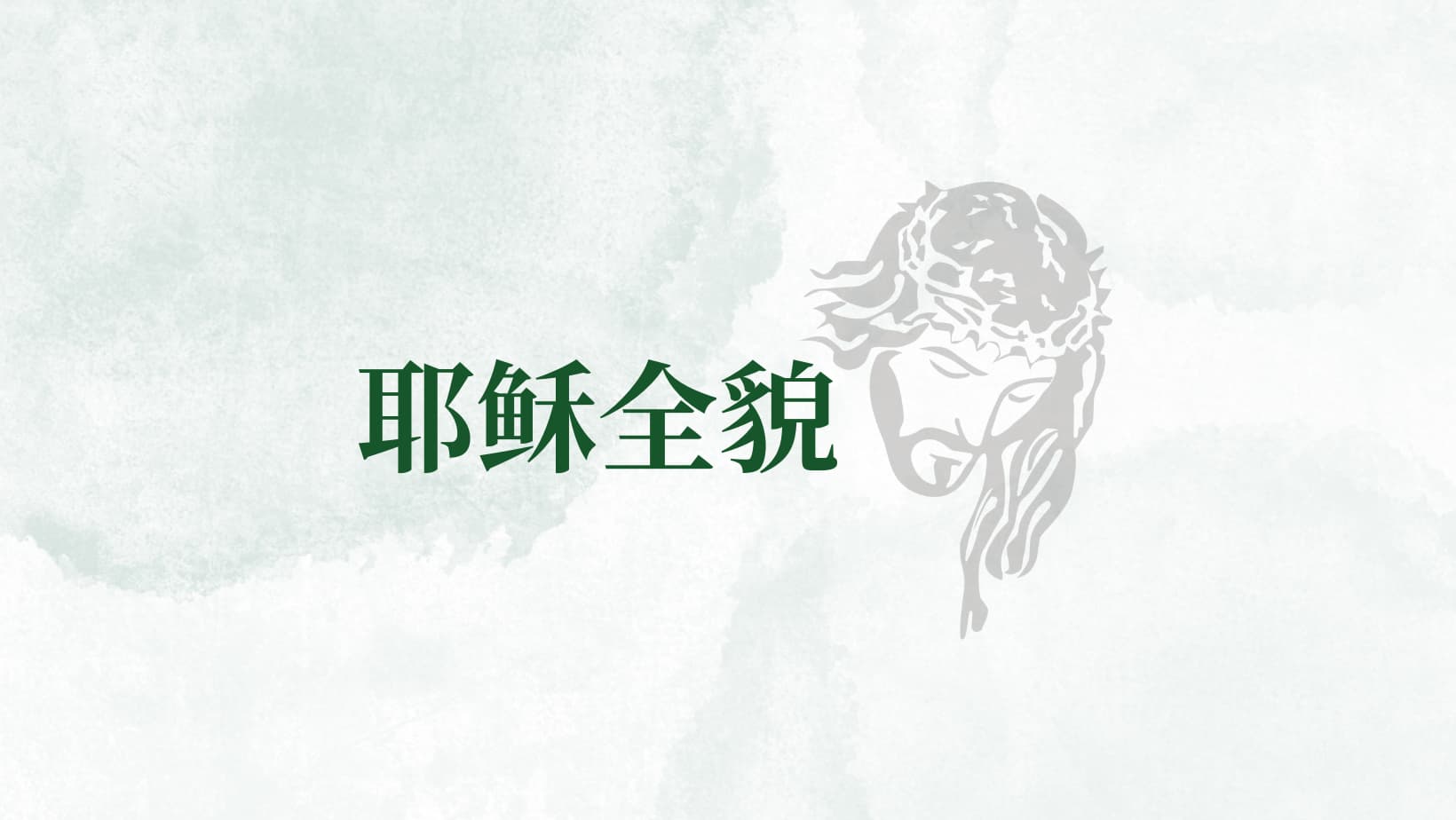 国际圣经协会《耶稣全貌》