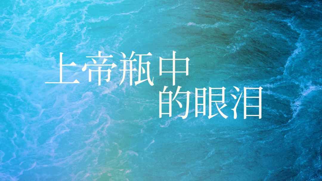 黛安·朗贝格《上帝瓶中的眼泪：创伤的摧毁与基督的重建》