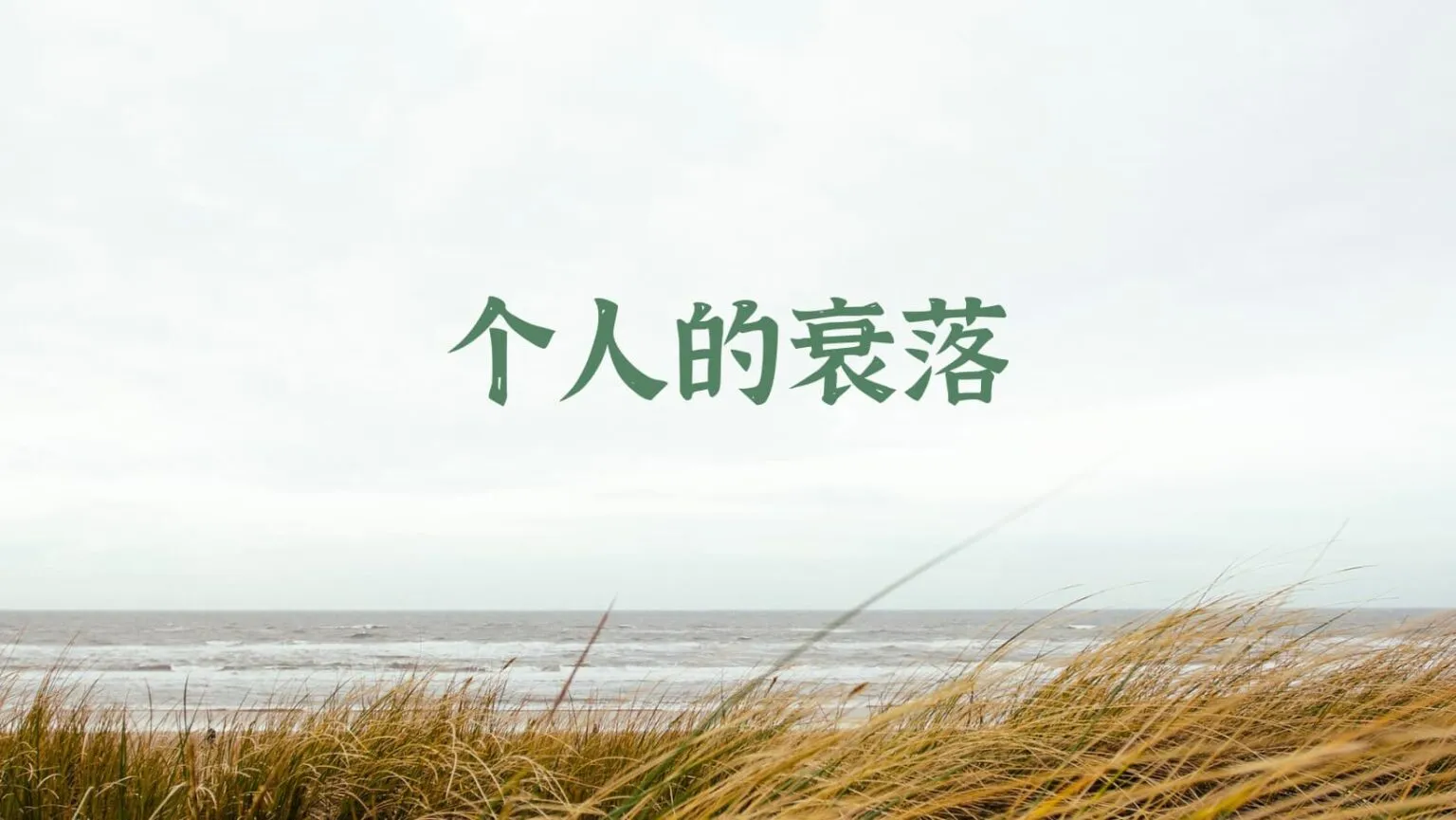 温思娄《个人的衰落》